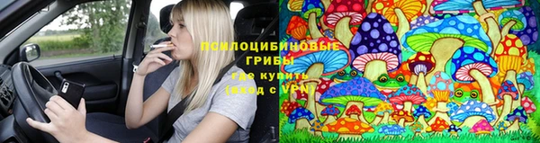 ECSTASY Белокуриха